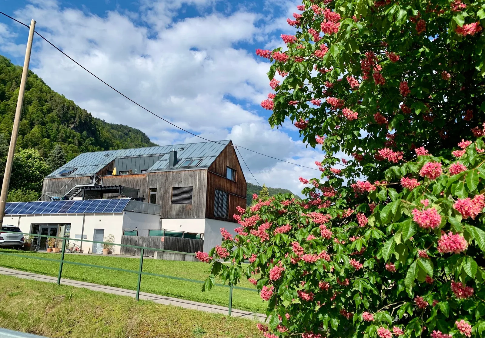 Gebäude von Fliesen Frieser in Steindorf hinter einem blühenden Baum